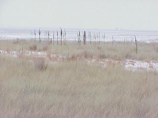 #1: Confluence site, looking southeast, on the Great Plains of Nebraska.