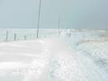 #8: Ground blizzard about 1 km west of the confluence, looking back toward the site.