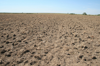 #1: Wide Angle View to the West with C.P. in foreground