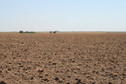 #4: South View