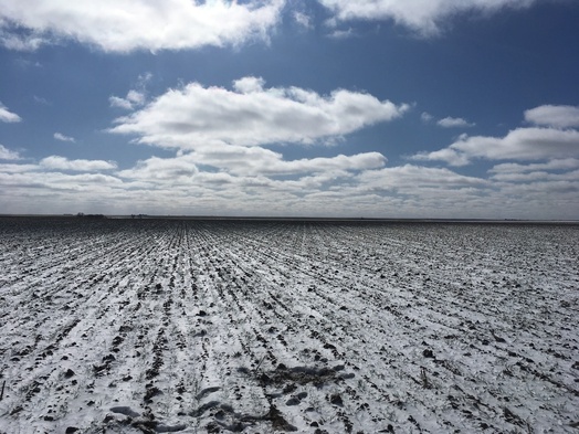 #1: View SSW toward the confluence (trodden circle in foreground)