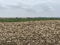 #5: View to the east from the confluence point. 