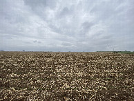 #7: View to the west from the confluence point. 