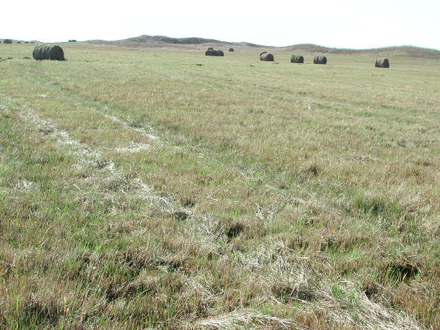 View from the confluence