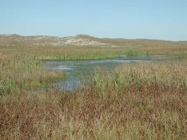 This is no swamp, it's a lake!