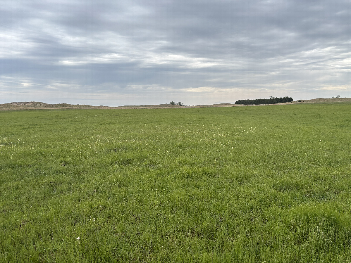 The confluence point lies in the foreground in this view toward the northwest. 