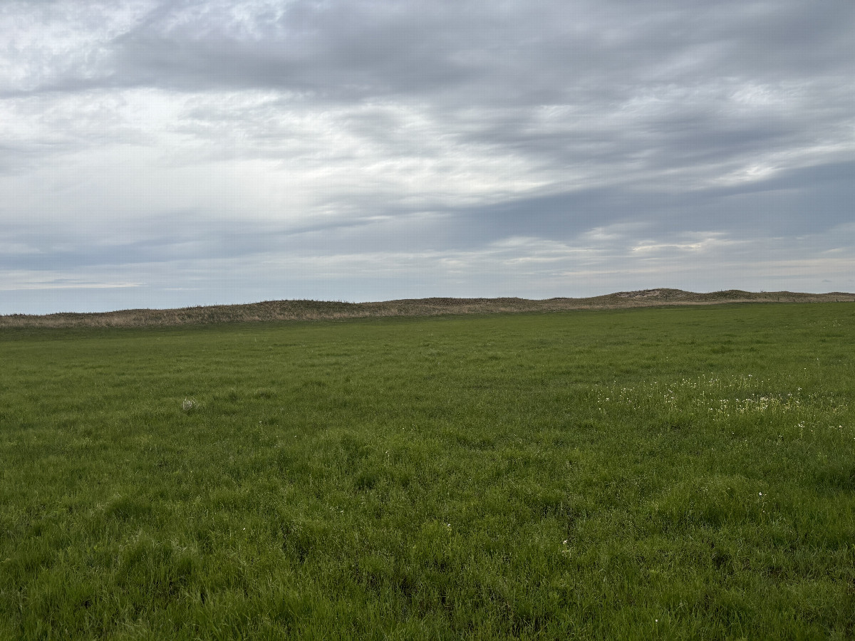 A view to the east from the confluence point.