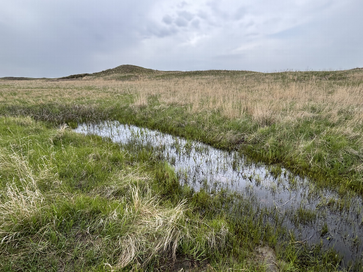 Some very wet passages on the way to the confluence point.