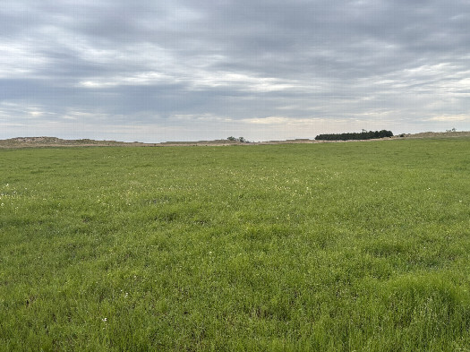 #1: The confluence point lies in the foreground in this view toward the northwest. 