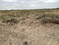 #12: One of the sand hill blowouts that sometimes occur when the vegetation gets eroded.  