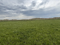 #2: A view to the north from the confluence point. 