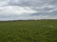 #3: A view to the east from the confluence point.