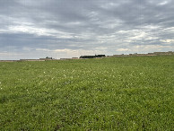#4: A view to the south from the confluence point. 