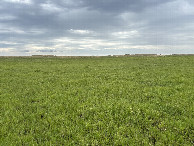 #5: A view to the west from the confluence point. 