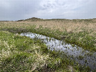 #9: Some very wet passages on the way to the confluence point.