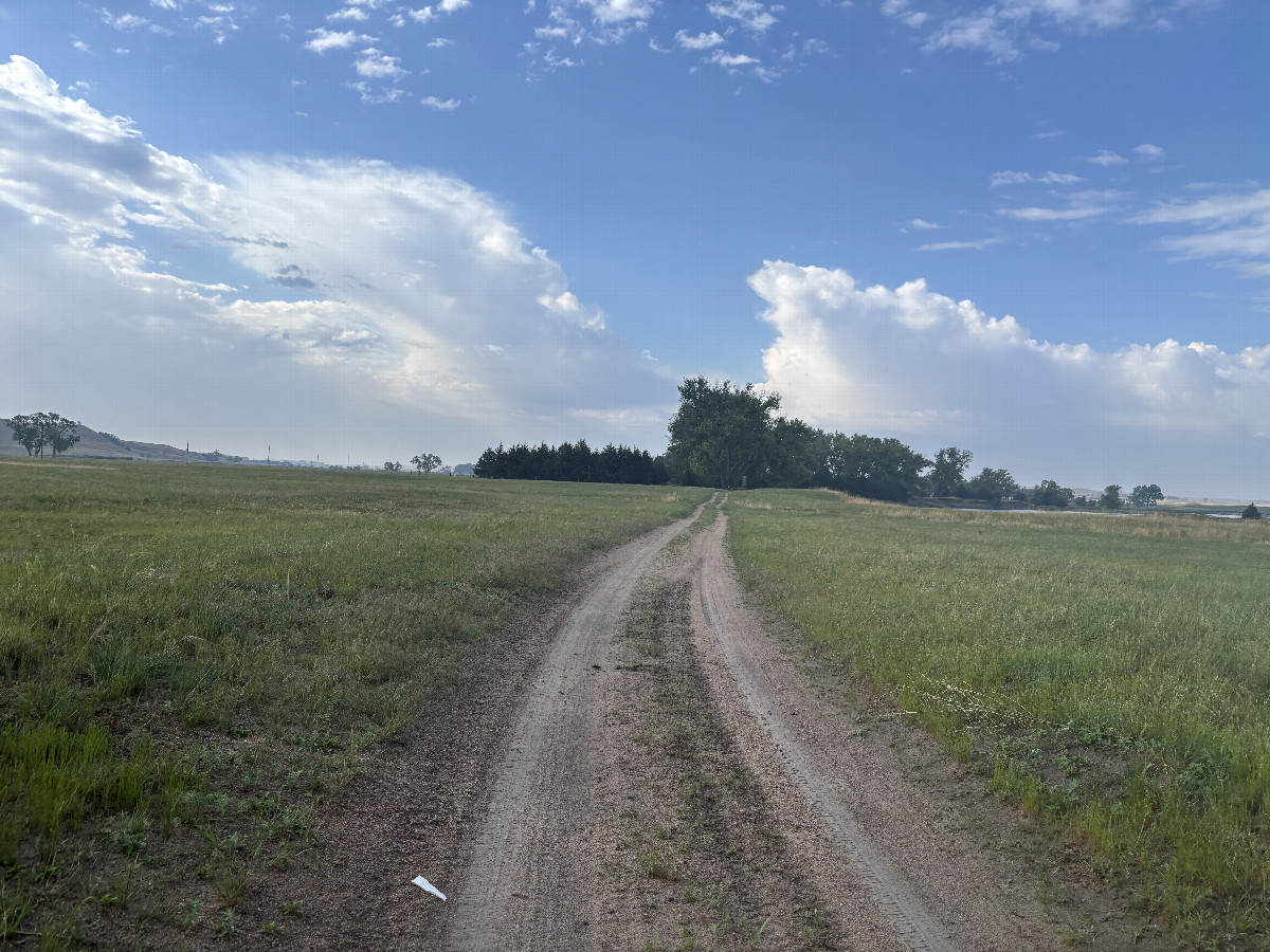 Walking south toward the confluence point. It lies to the left of the trees in the distance. 