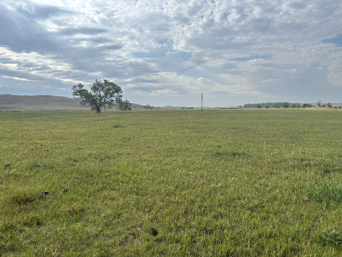 Looking southeast with the confluence point in the foreground. 