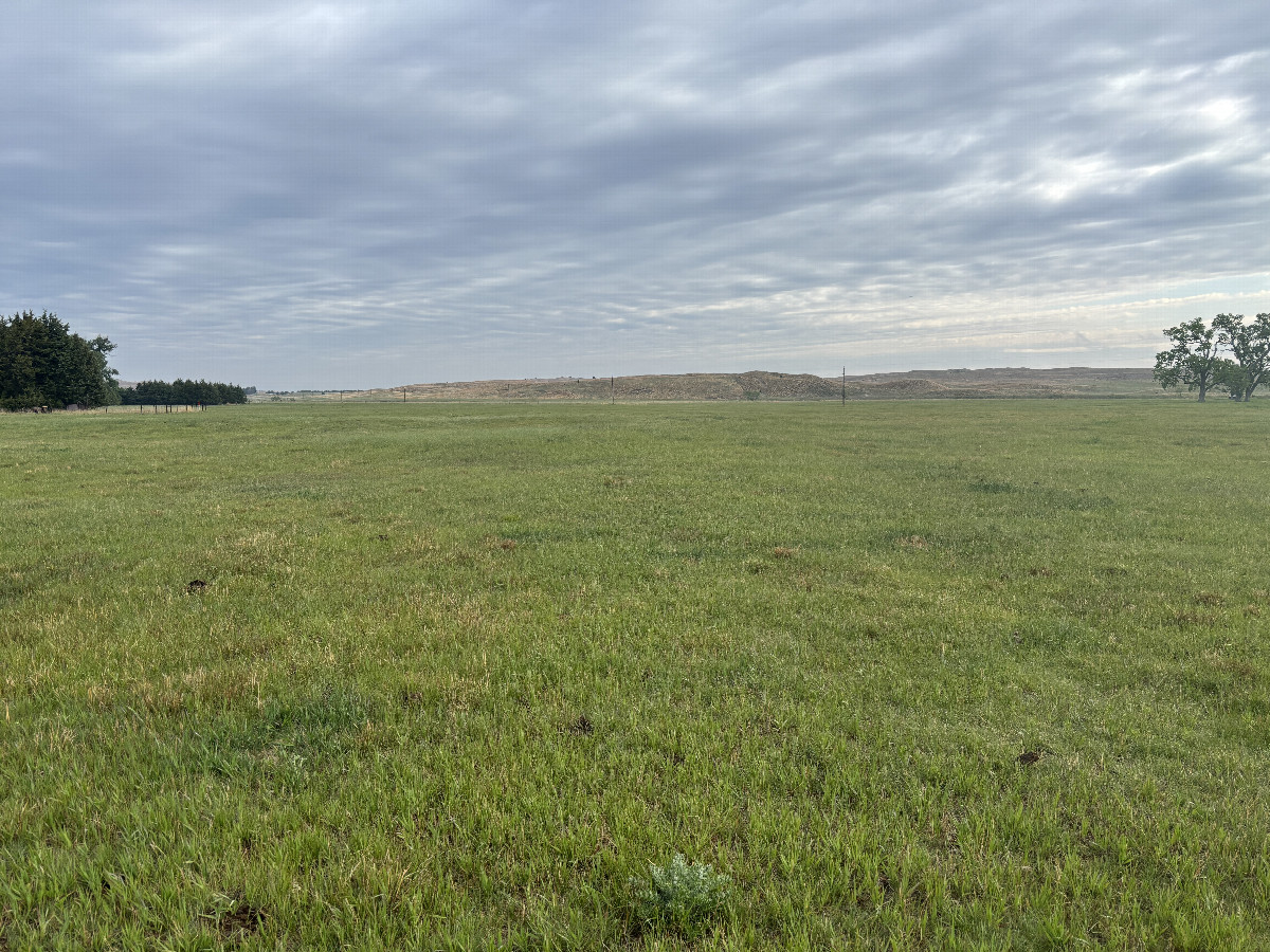 A view to the north from the confluence point. 