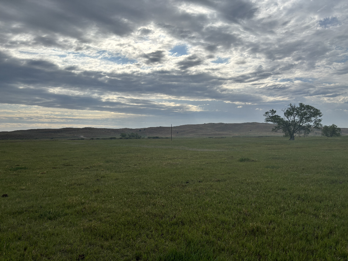 A view to the east from the confluence point. 