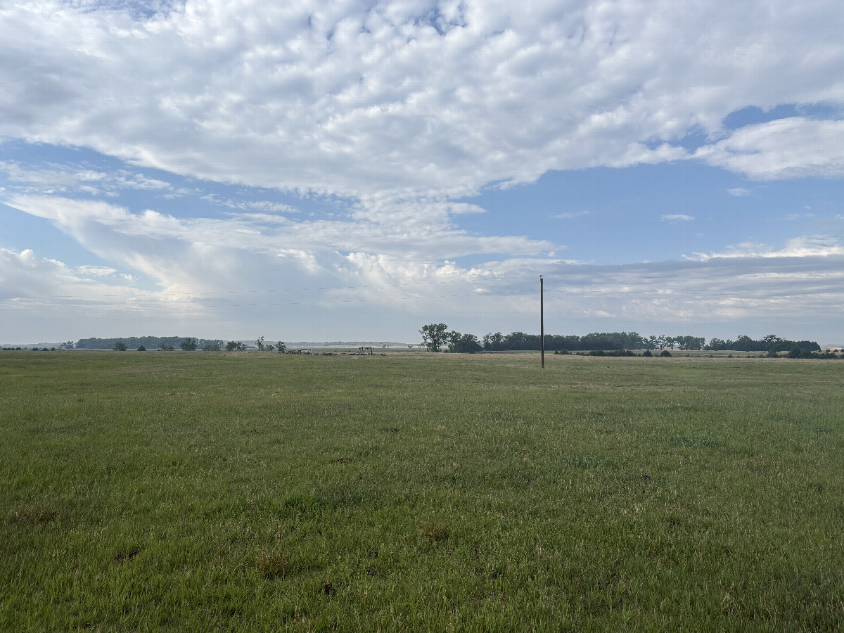 A view to the south from the confluence point.  
