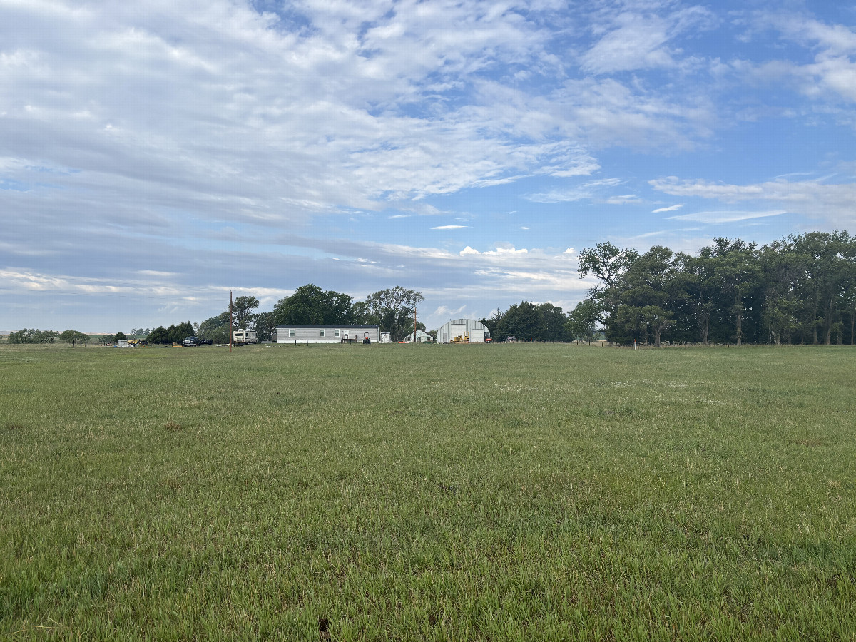 A view to the west from the confluence point. 