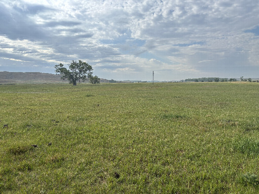 #1: Looking southeast with the confluence point in the foreground. 