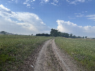 #11: Walking south toward the confluence point. It lies to the left of the trees in the distance. 