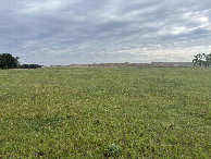 #2: A view to the north from the confluence point. 
