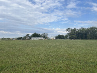 #5: A view to the west from the confluence point. 