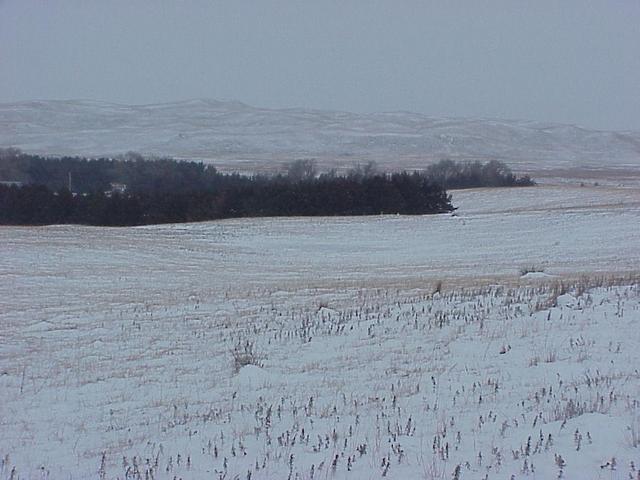 Confluence site in Nebraska Sand Hills, looking northwest.