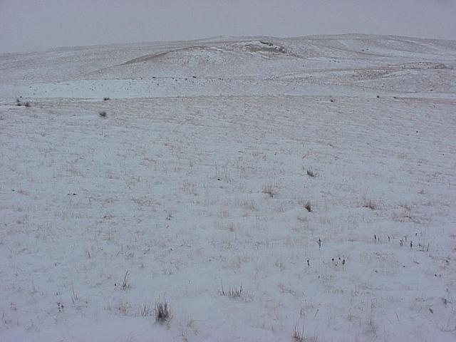 View to the west from the confluence.