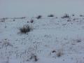 #2: View to the northeast from the confluence.