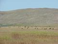 #2: View to the west from the confluence.