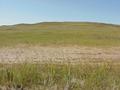 #4: View to the south from the confluence.