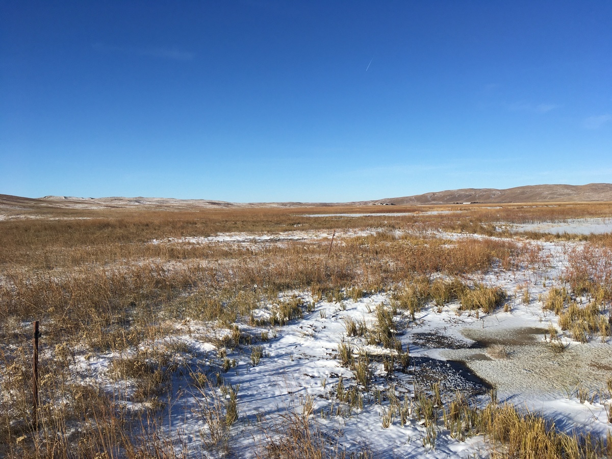 View to the west (note the proximity of the frozen lake)