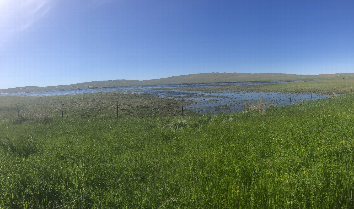 Parked on Abbott Road - confluence is in the distance to the south