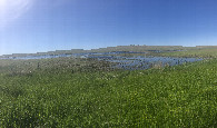 #3: Parked on Abbott Road - confluence is in the distance to the south