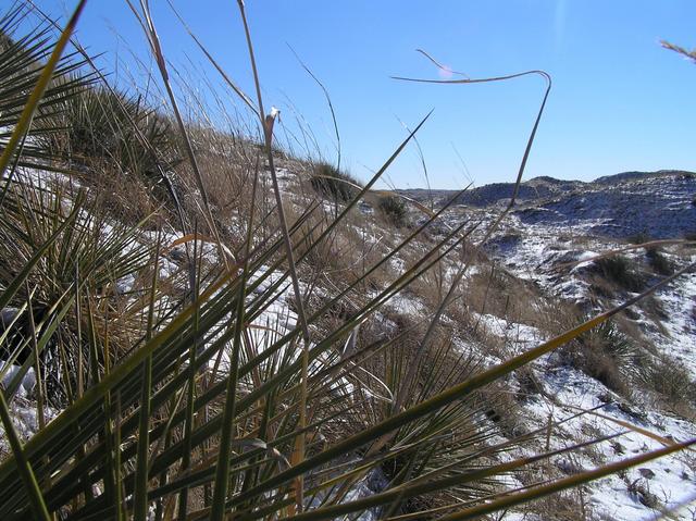 Confluence of 42 North 103 West in the Nebraska Sand Hills, looking south.