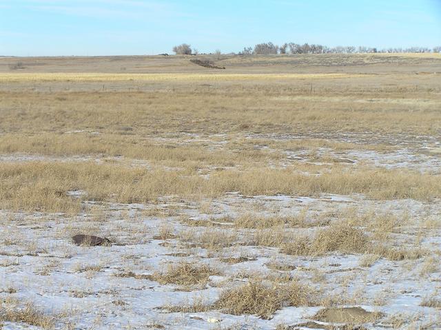 View to the north from the confluence.