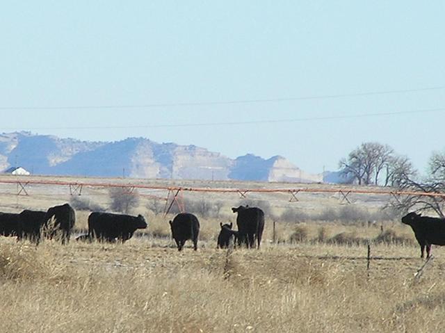 View to the southeast toward the bluffs of Scottsbluff, Nebraska.