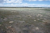 #2: View North (towards a dirt road, 0.1 miles away)