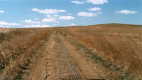 #5: ... to 2 tracks with grass in the middle.