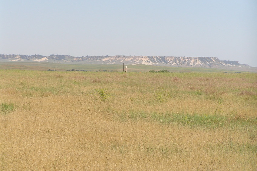 View to the west from the confluence point.