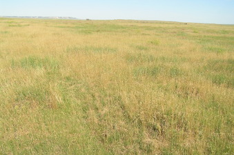 #1: Site of 43 North 104 West, in the foreground, looking northwest. 