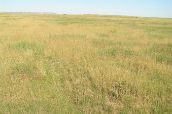 #1: Site of 43 North 104 West, in the foreground, looking northwest. 