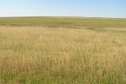 #5: View to the south from the confluence.