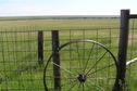 #8: Fence and wagon wheel, about 150 meters south-southwest of the confluence, looking east-northeast.