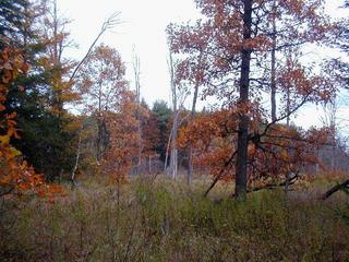 #1: View of confluence from the west