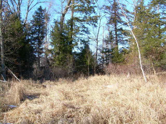 North view 1-28-07