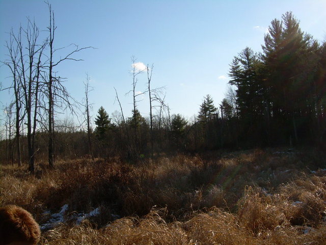 South view 1-28-07